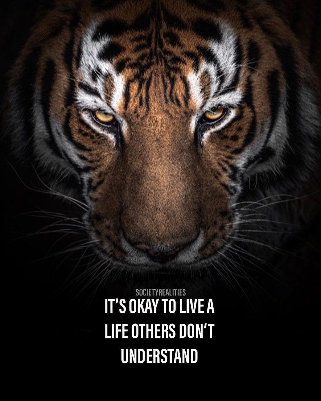 Tiger Motivational Wallpapers Top Free Tiger Motivational Backgrounds