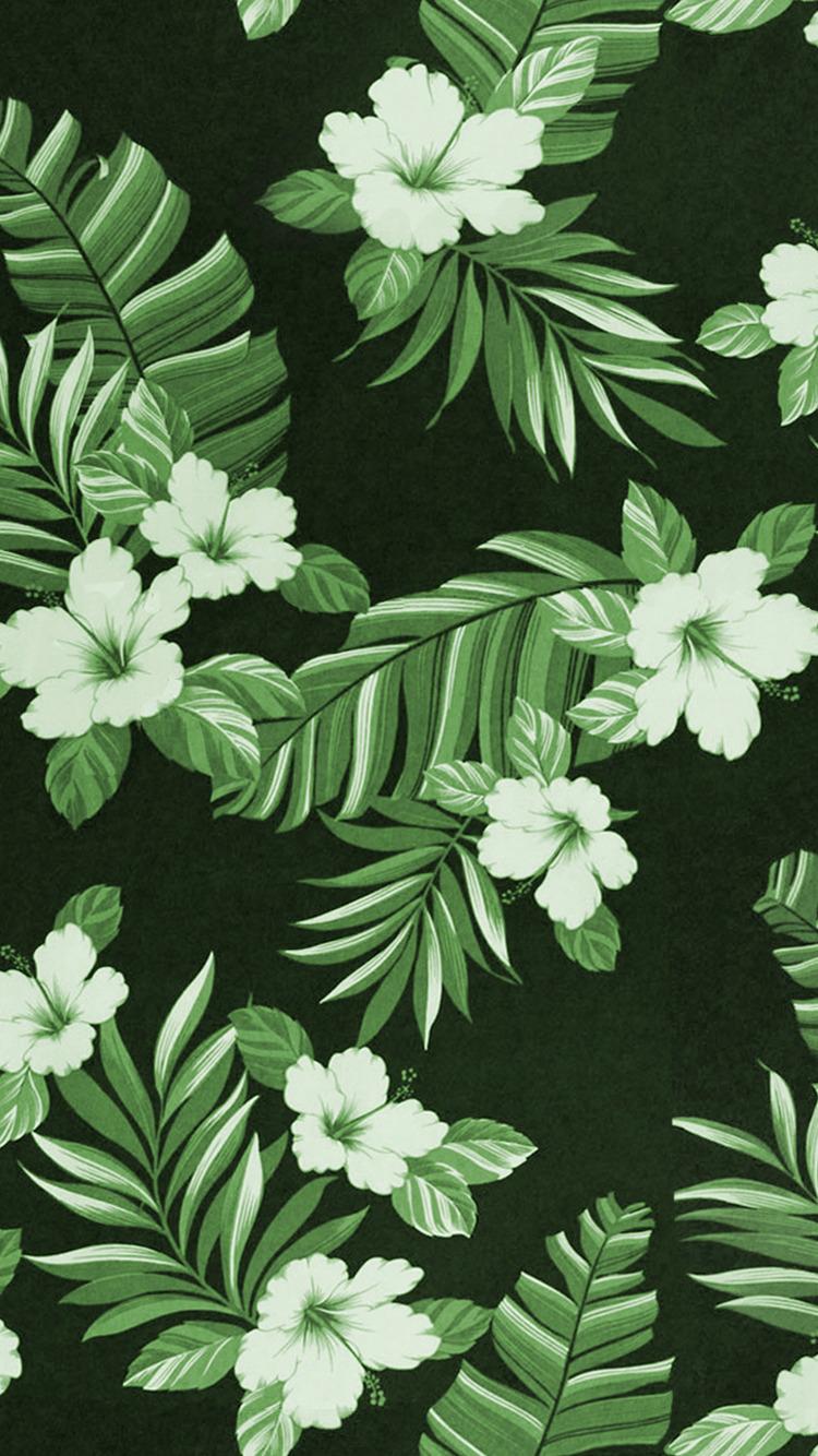 Palm Tree Leaves iPhone Wallpapers Top Free Palm Tree Leaves iPhone