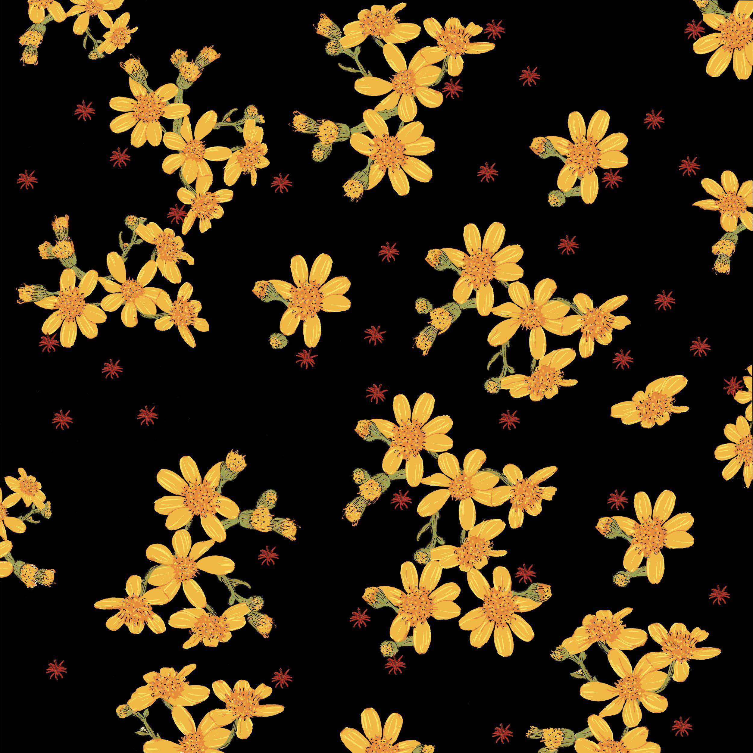 Black and Yellow Flower Wallpapers Top Free Black and Yellow Flower