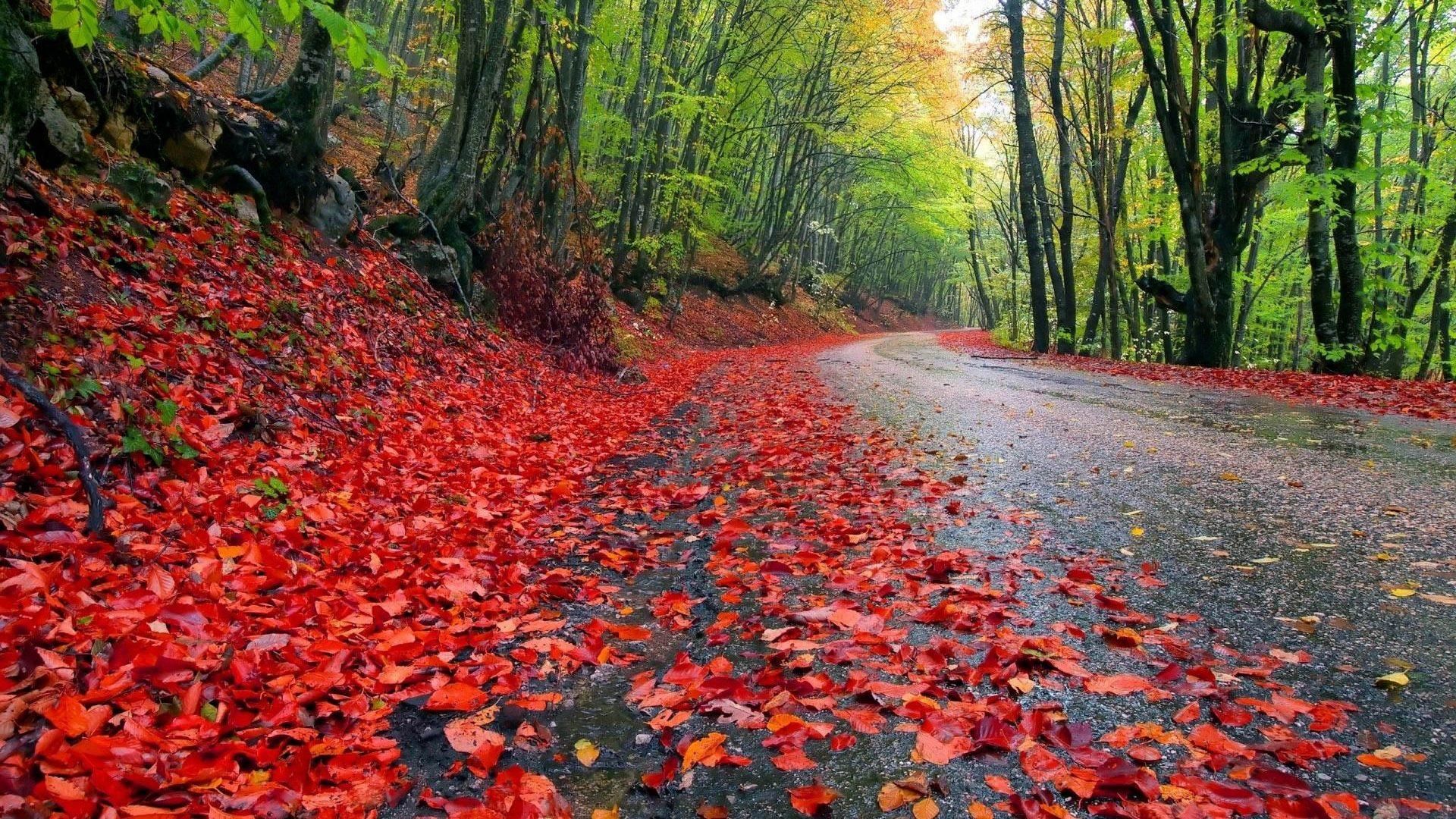 Damp Wallpapers Top Free Damp Backgrounds WallpaperAccess