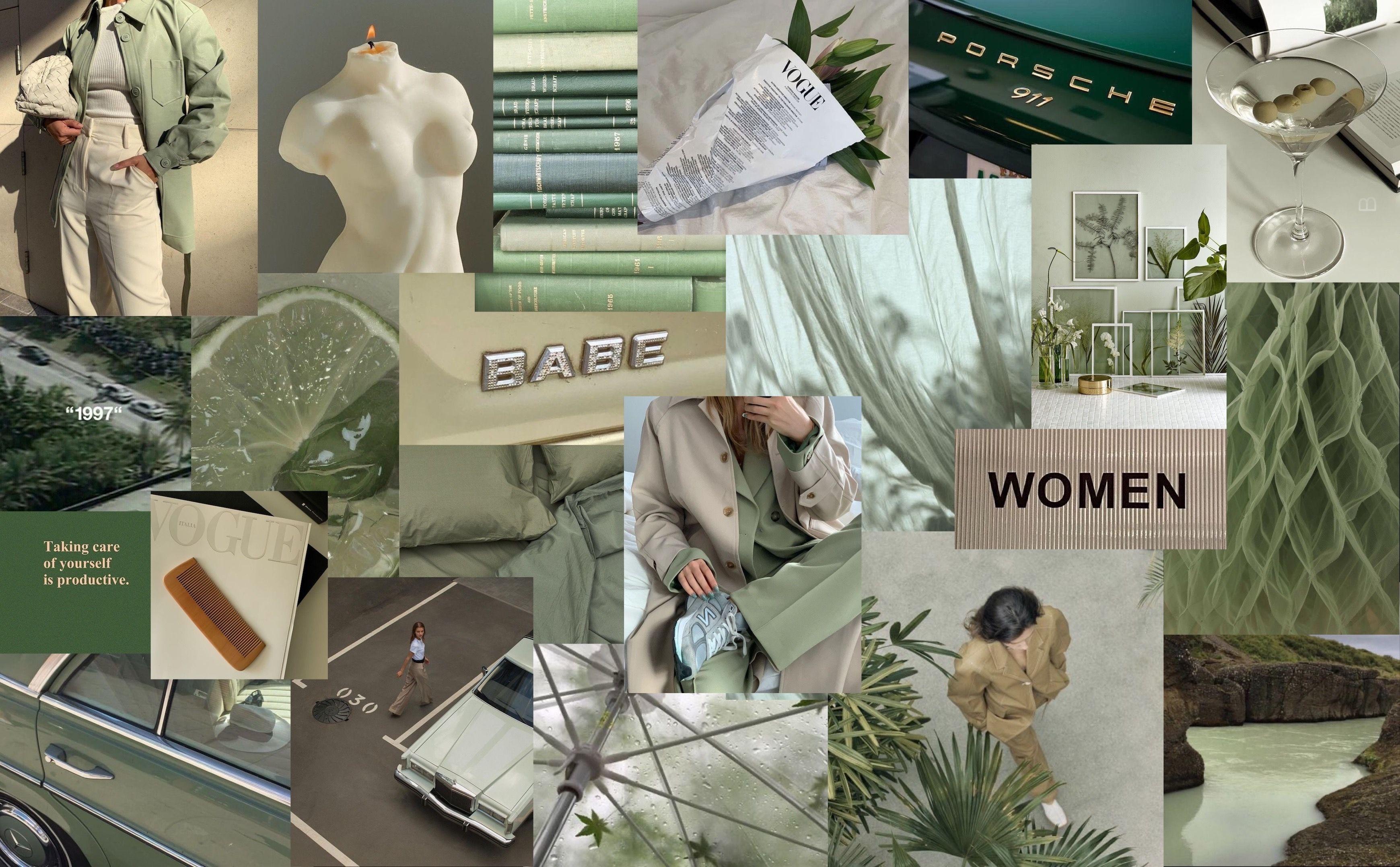 Details more than 86 sage green aesthetic wallpaper laptop super hot