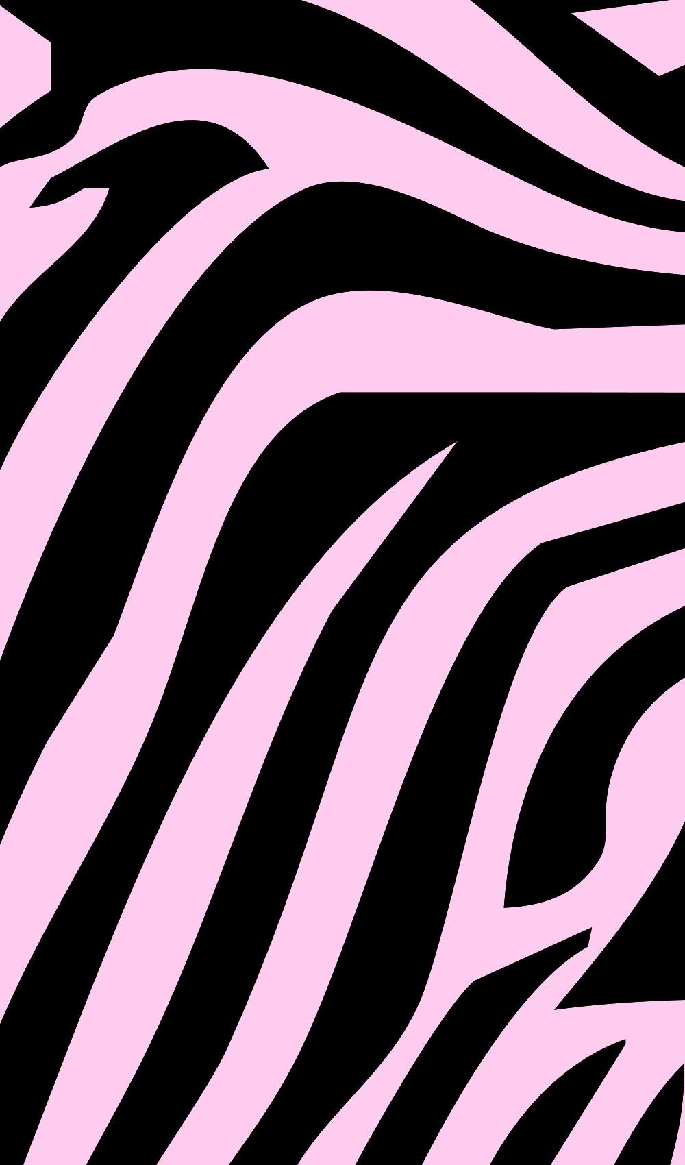 Zebra iPhone Wallpapers Top Free Zebra iPhone Backgrounds