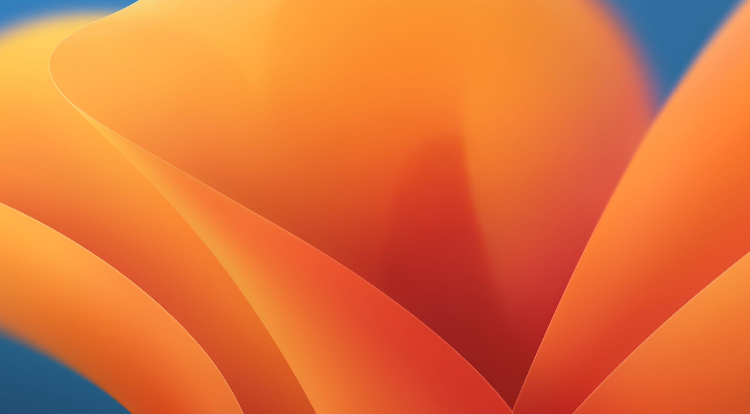 macOS Ventura Wallpapers Top Free macOS Ventura Backgrounds