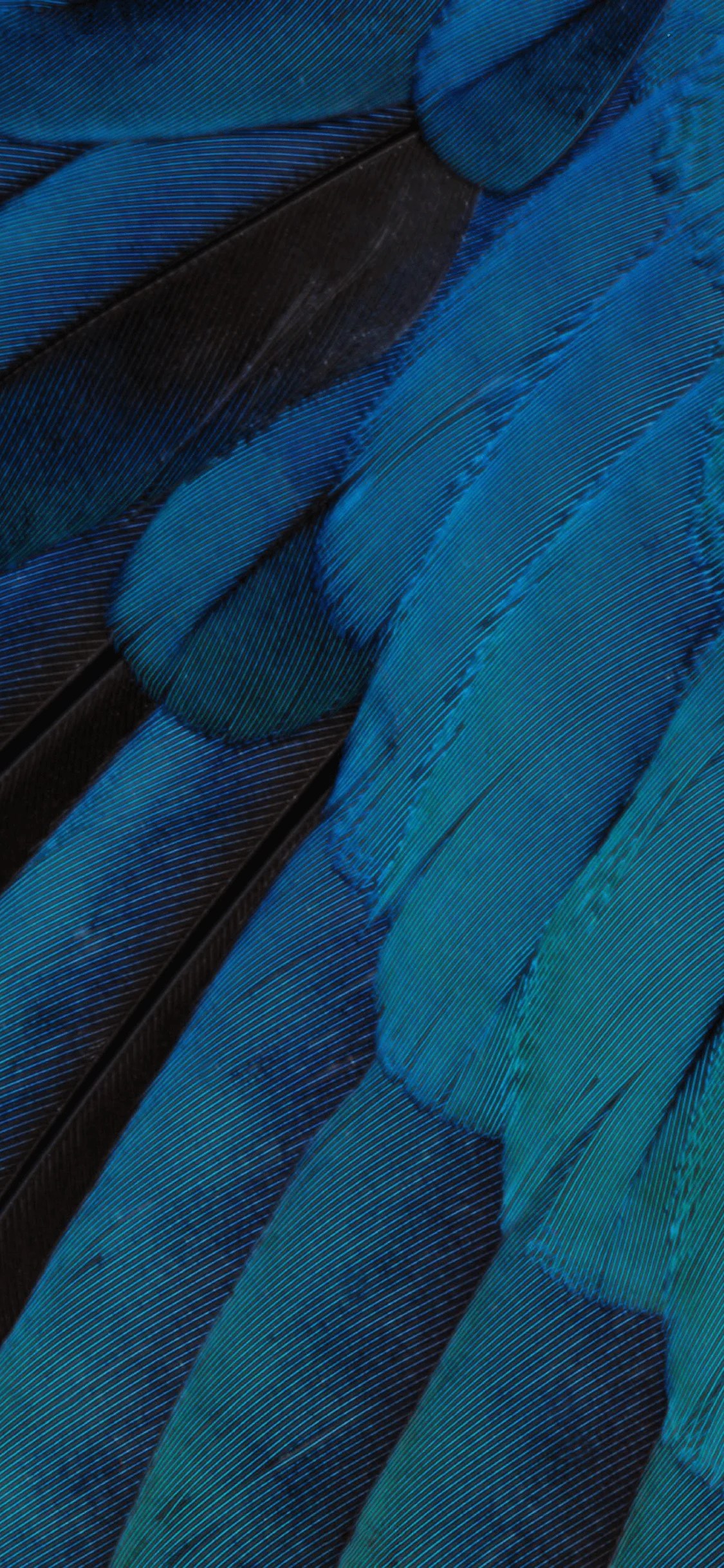 iPhone Stock Wallpapers Top Free iPhone Stock Backgrounds