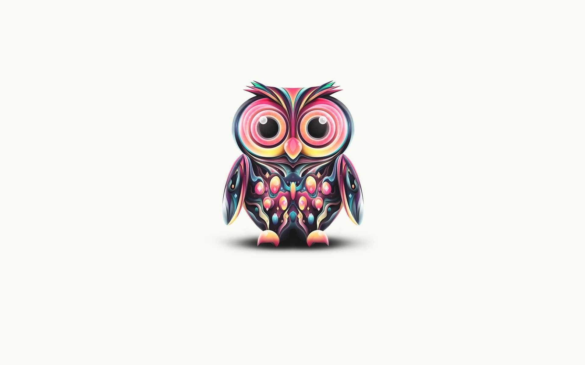Colorful Owl Wallpapers Top Free Colorful Owl Backgrounds