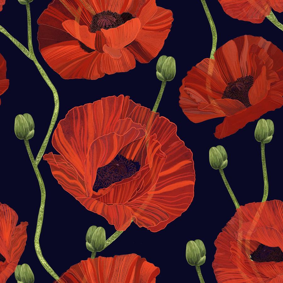 Orange Poppies Wallpapers Top Free Orange Poppies Backgrounds