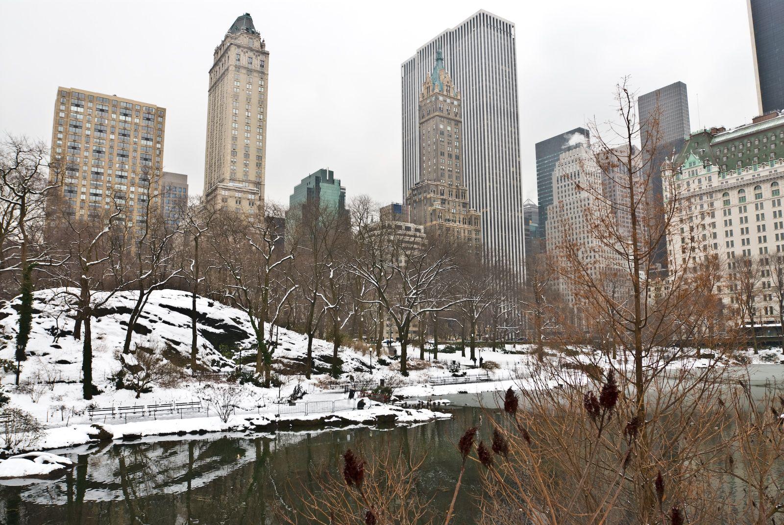 Winter in Central Park New York Wallpapers Top Free Winter in Central