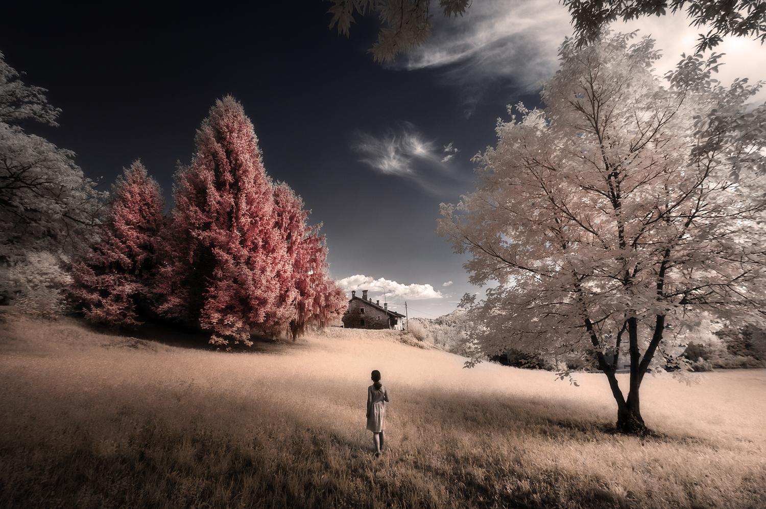 Infrared Photography Wallpapers Top Free Infrared Photography