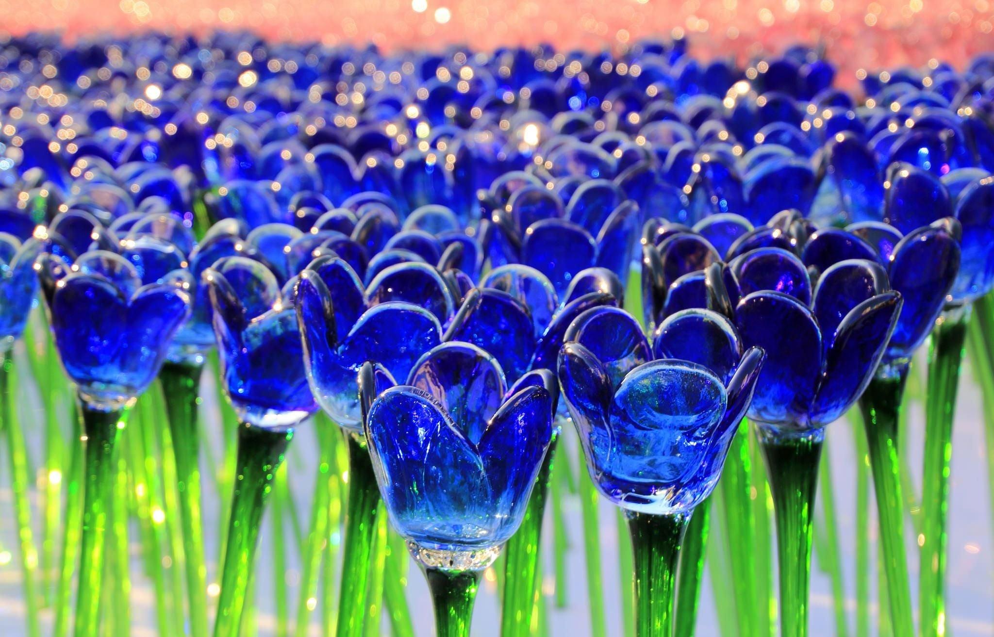 Blue Tulips Wallpapers Top Free Blue Tulips Backgrounds WallpaperAccess