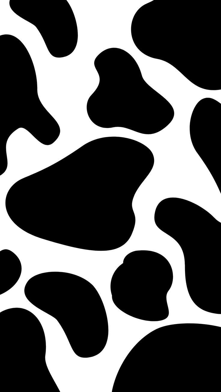 Black and White Cow Print Wallpapers Top Free Black and White Cow