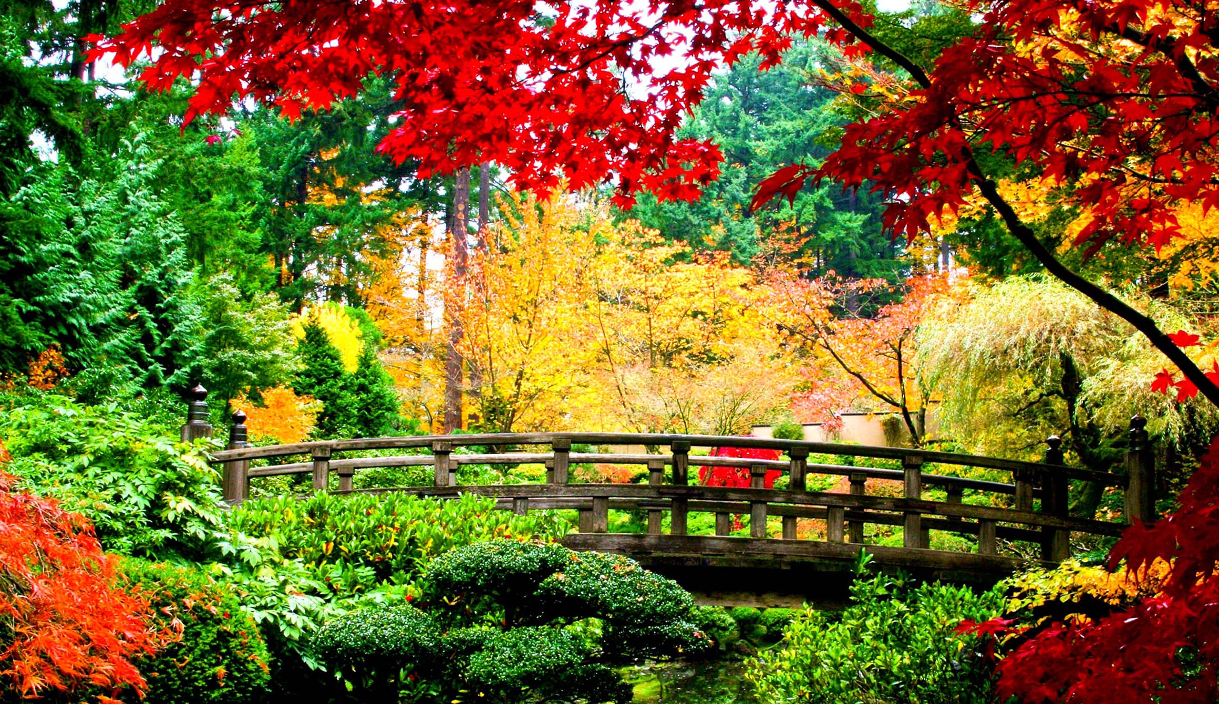 Japan Nature Wallpapers Top Free Japan Nature Backgrounds