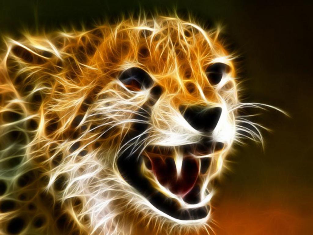 Cool Cheetah Wallpapers Top Free Cool Cheetah Backgrounds