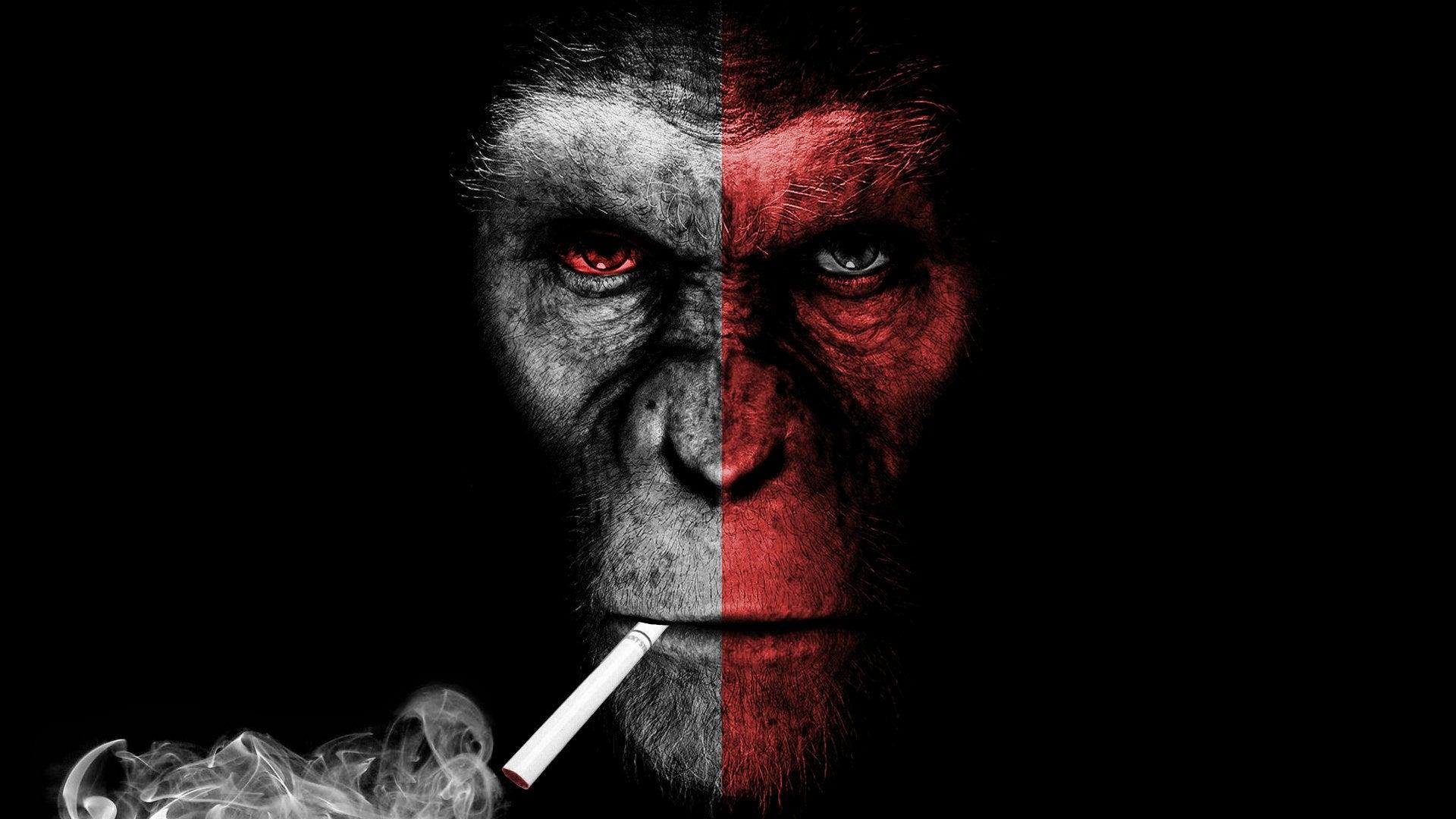 Smoking Monkey Wallpapers Top Free Smoking Monkey Backgrounds