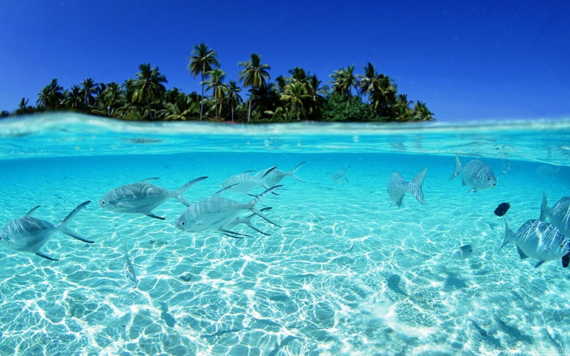 Mac Beach Wallpapers Top Free Mac Beach Backgrounds WallpaperAccess