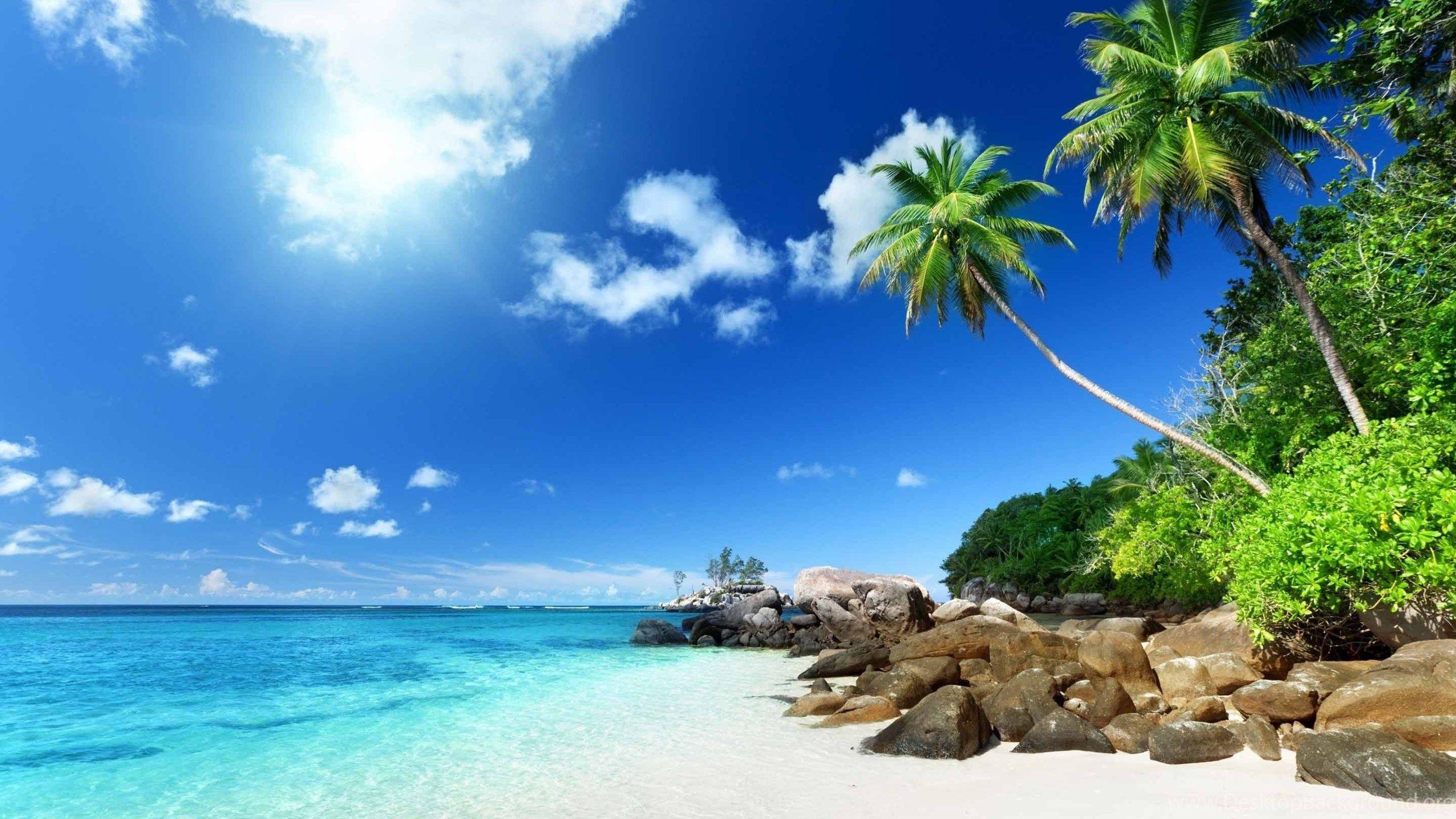 Mac Beach Wallpapers Top Free Mac Beach Backgrounds WallpaperAccess