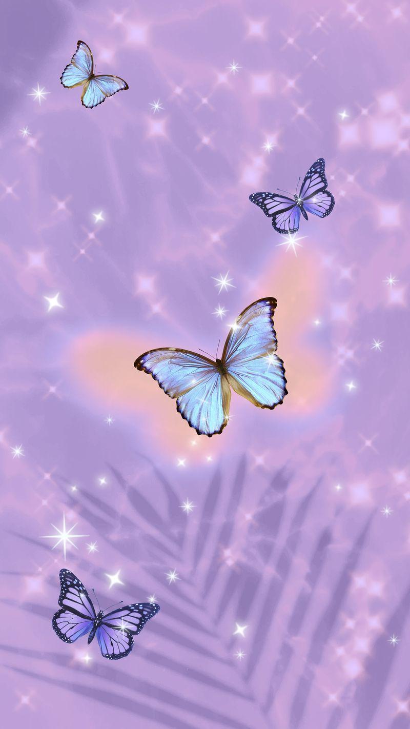 Lilac Butterfly Wallpapers Top Free Lilac Butterfly Backgrounds
