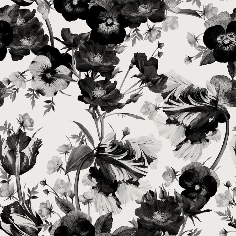 Black White Floral Wallpapers Top Free Black White Floral Backgrounds