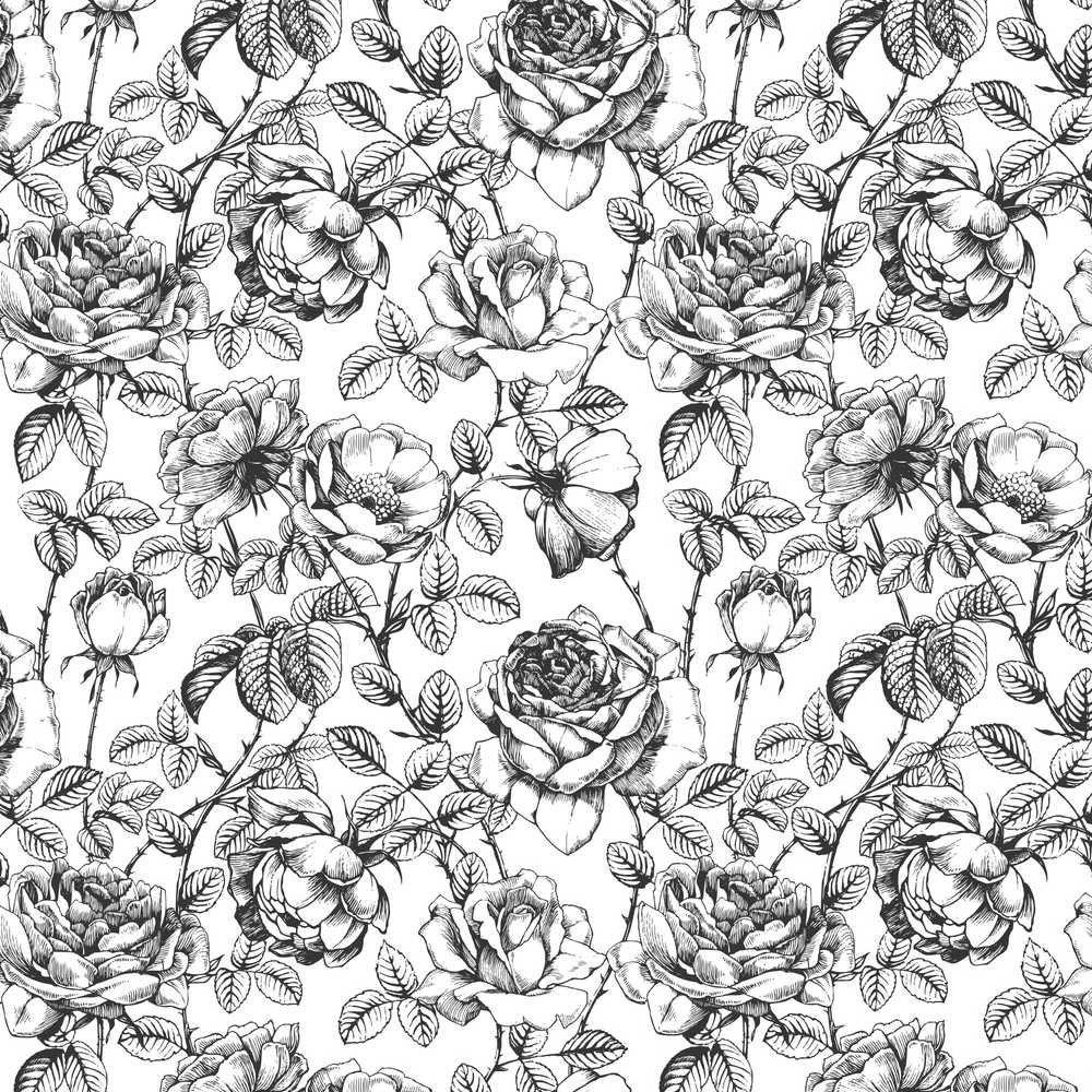 Black White Floral Wallpapers Top Free Black White Floral Backgrounds