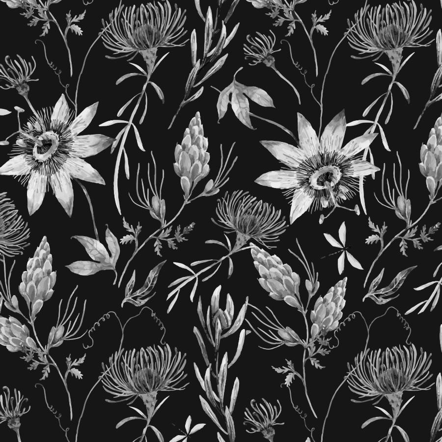 Black White Floral Wallpapers Top Free Black White Floral Backgrounds