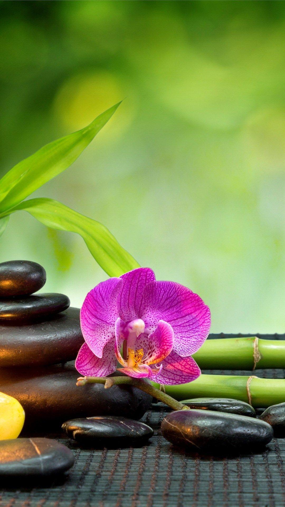 Feng Shui Wallpapers Top Free Feng Shui Backgrounds WallpaperAccess