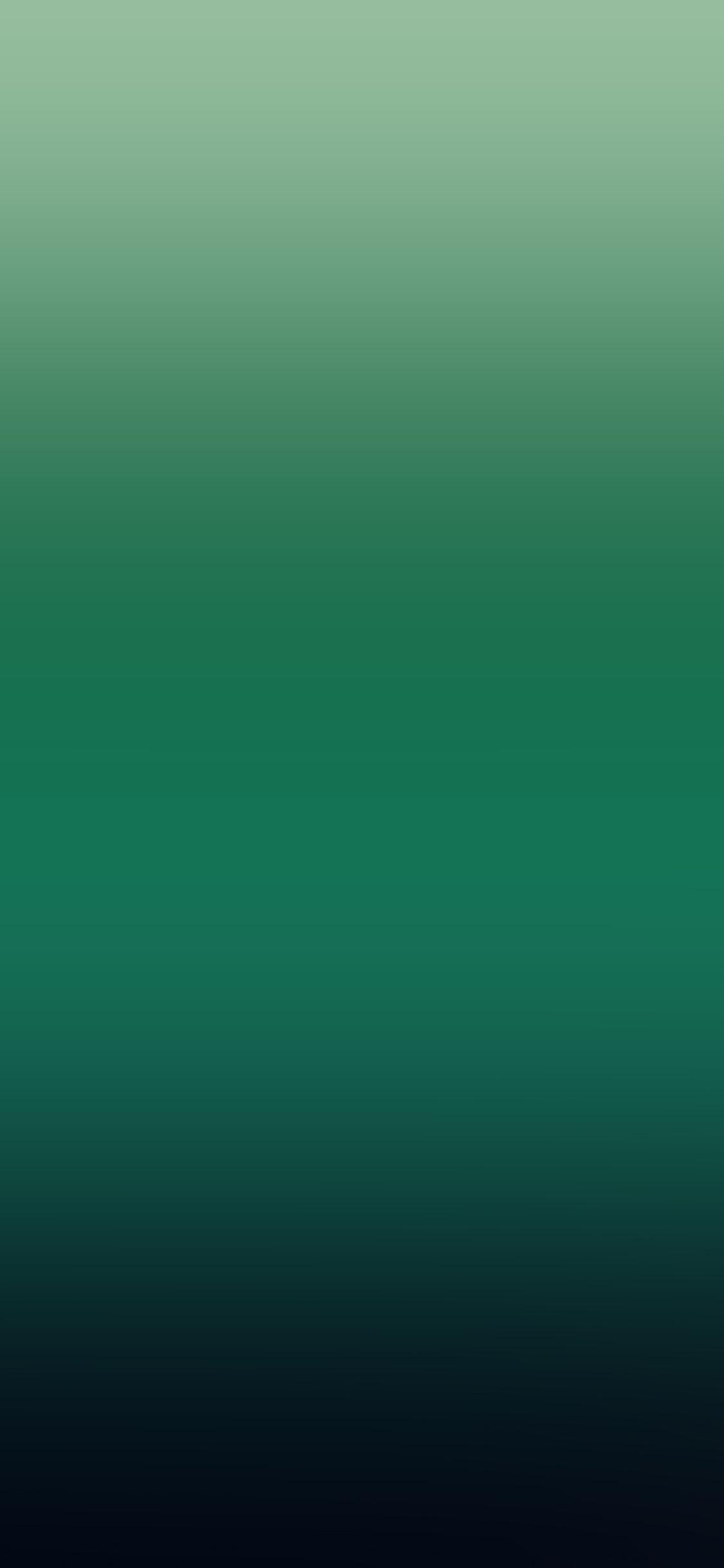 Dark Green Apple Wallpapers Top Free Dark Green Apple Backgrounds WallpaperAccess