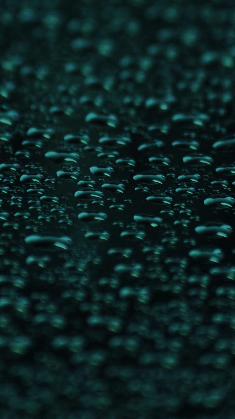 Dark Green Apple Wallpapers Top Free Dark Green Apple Backgrounds WallpaperAccess