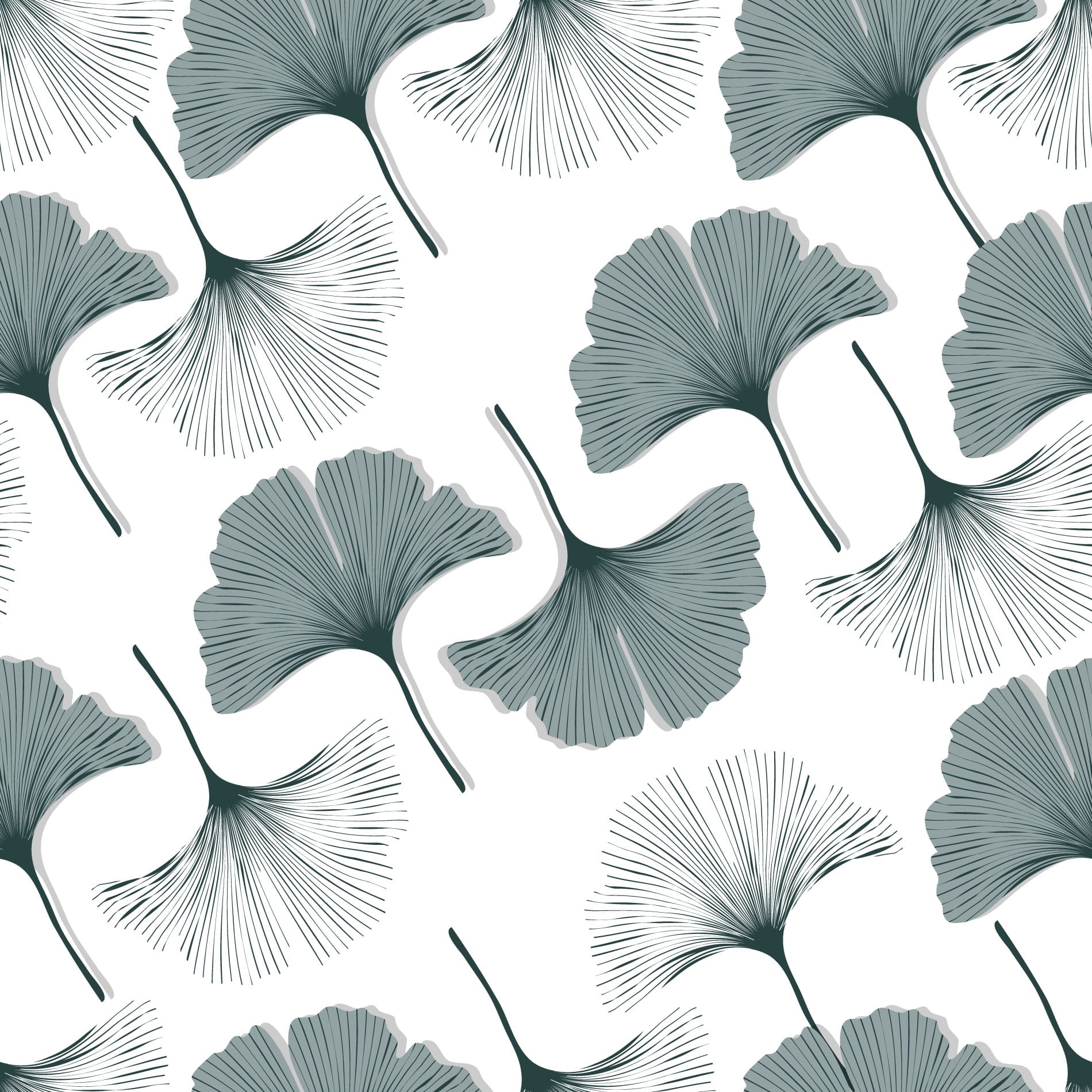 Ginkgo Leaf Wallpapers Top Free Ginkgo Leaf Backgrounds WallpaperAccess