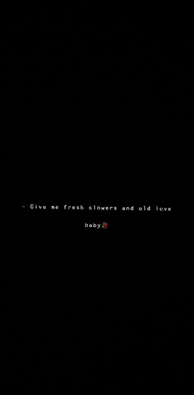 Rap Quotes Wallpapers Top Free Rap Quotes Backgrounds WallpaperAccess