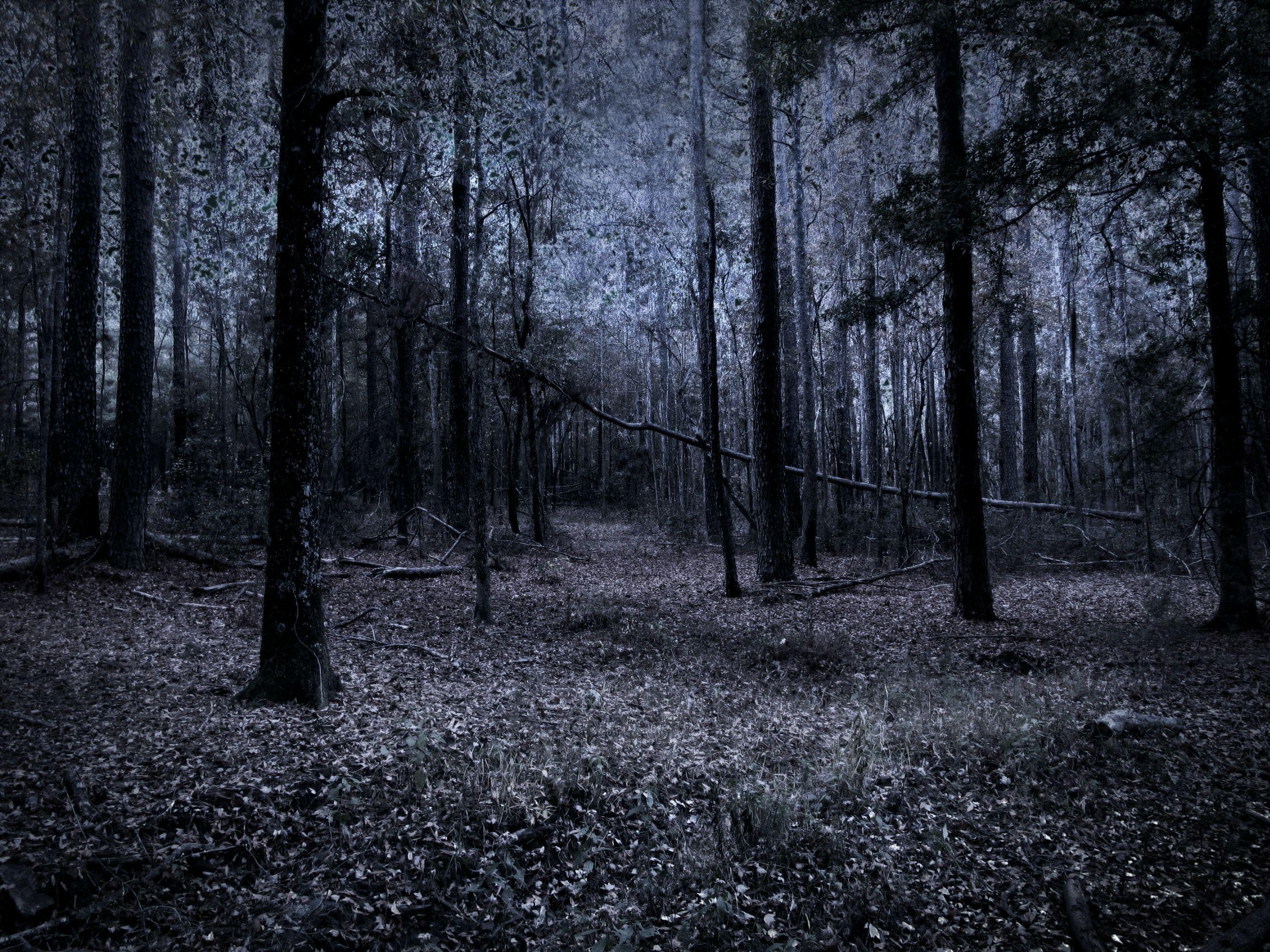 Gloomy Wallpapers - Top Free Gloomy Backgrounds - WallpaperAccess