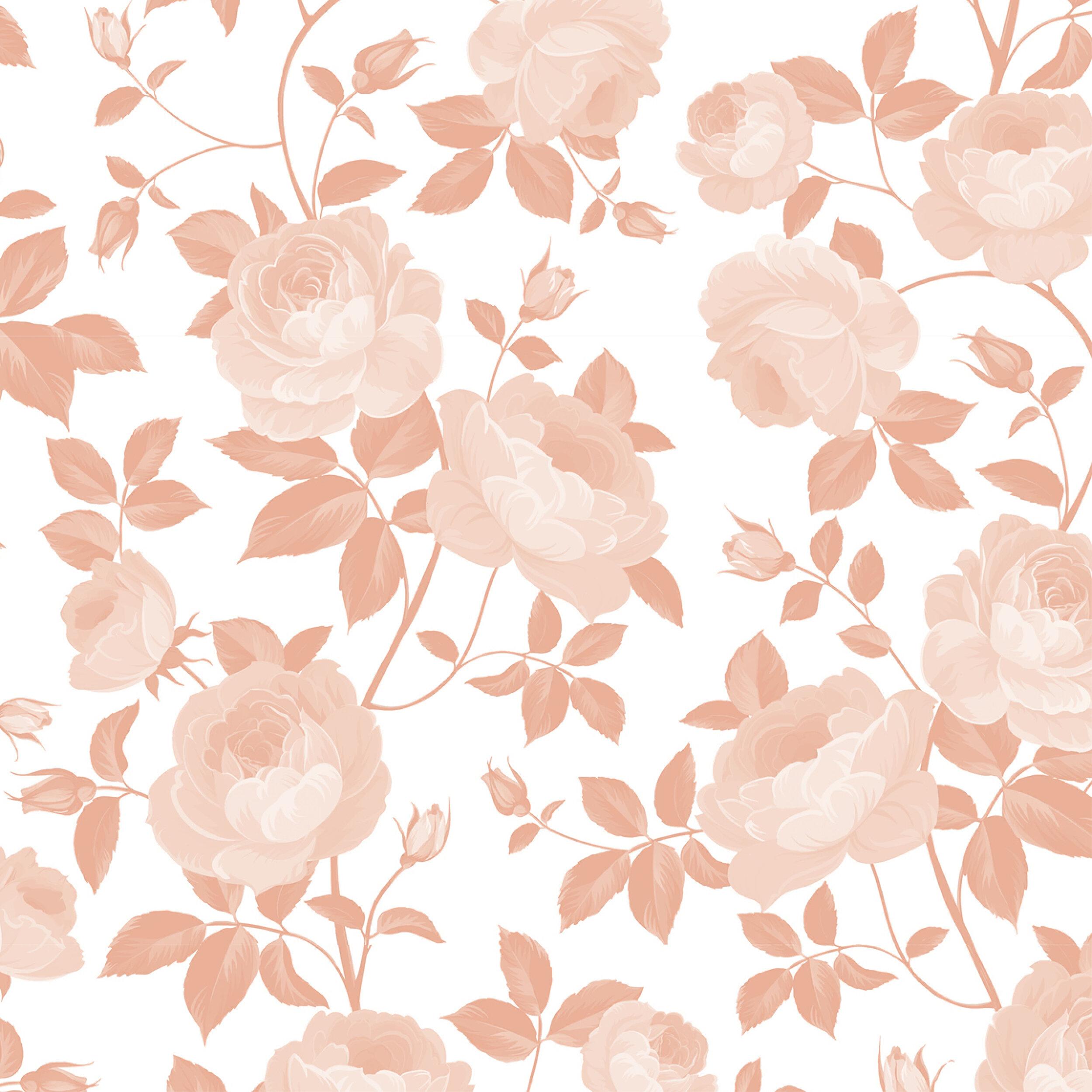 Coral Roses Wallpapers Top Free Coral Roses Backgrounds WallpaperAccess
