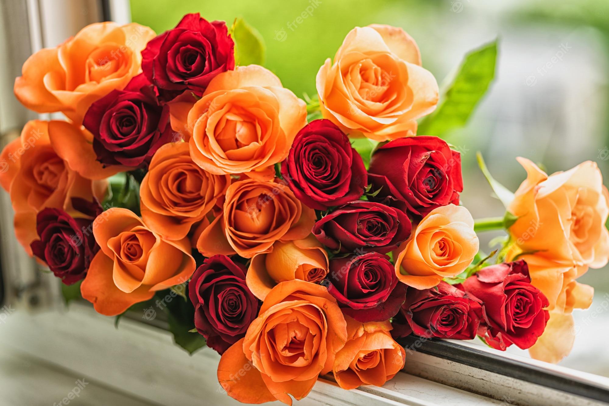 Coral Roses Wallpapers Top Free Coral Roses Backgrounds WallpaperAccess