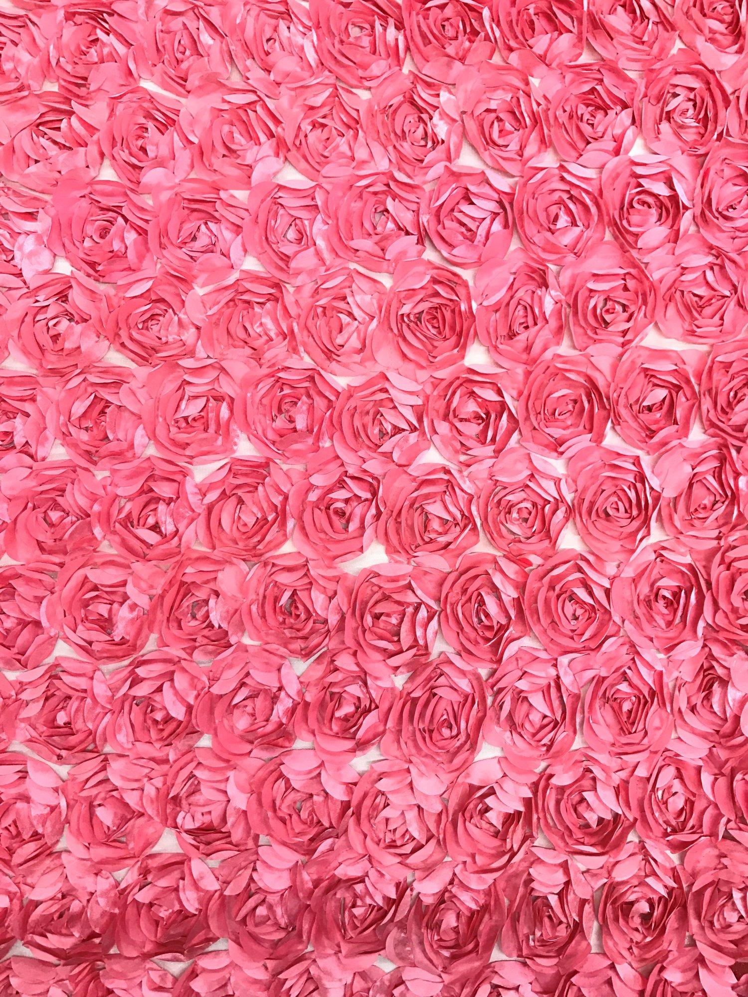 Coral Roses Wallpapers Top Free Coral Roses Backgrounds WallpaperAccess