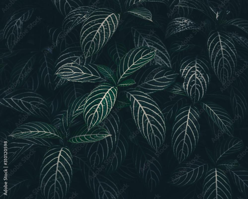 Nature Texture Wallpapers Top Free Nature Texture Backgrounds