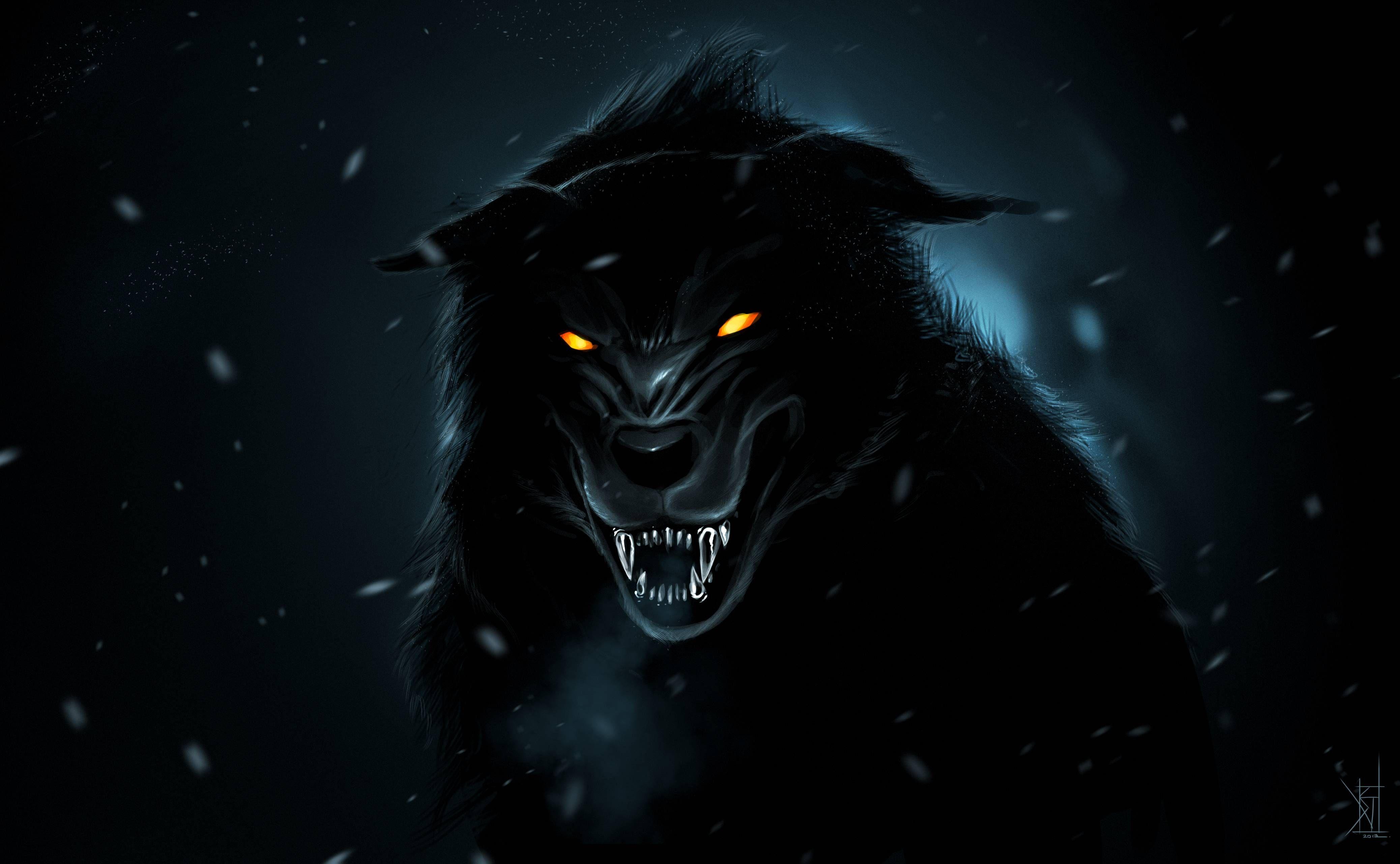 Black Wolf Anime Wallpapers Top Free Black Wolf Anime Backgrounds