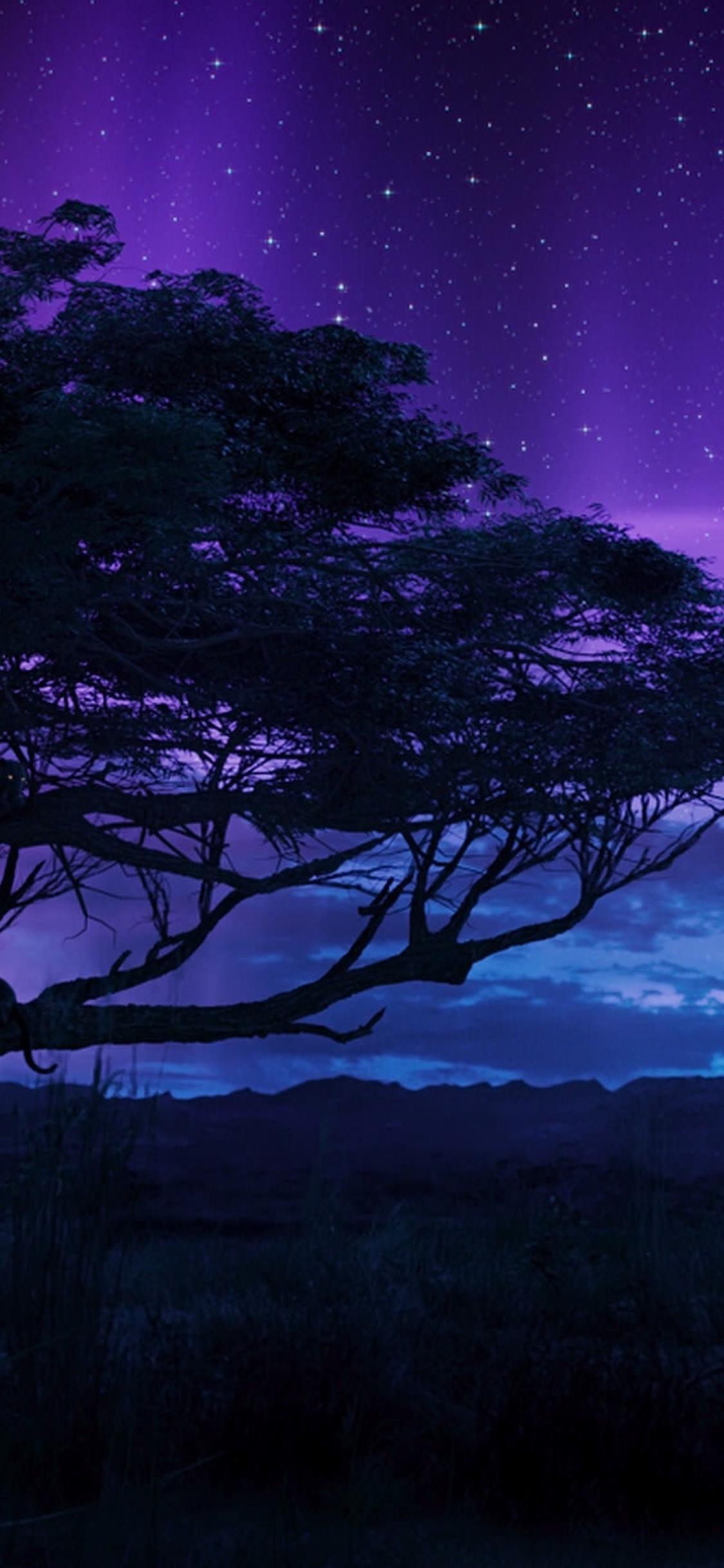 Black Panther Tree Wallpapers Top Free Black Panther Tree Backgrounds