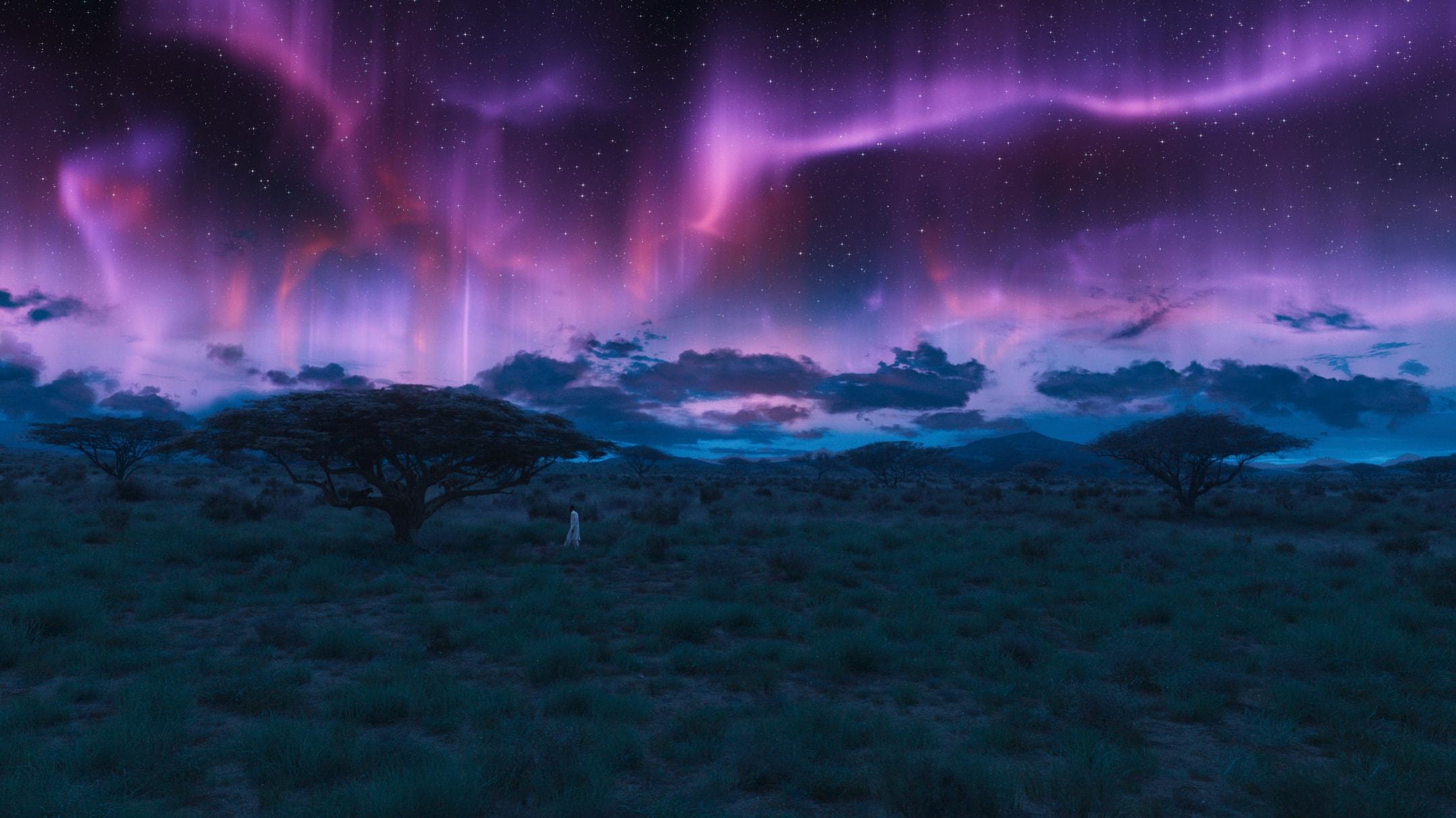 Black Panther Tree Wallpapers Top Free Black Panther Tree Backgrounds