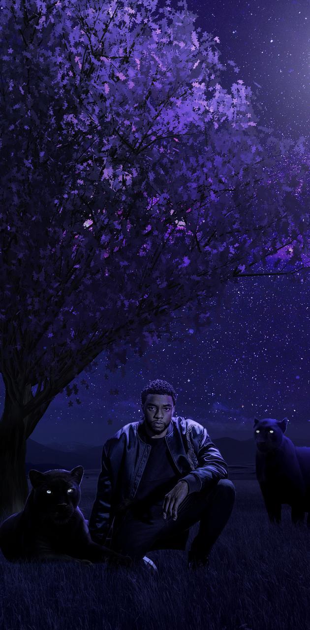 Black Panther Tree Wallpapers Top Free Black Panther Tree Backgrounds