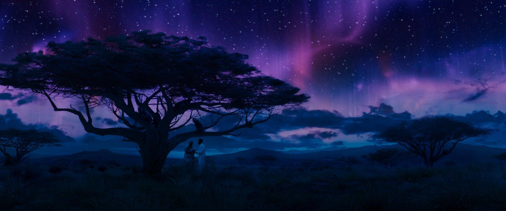 Black Panther Tree Wallpapers Top Free Black Panther Tree Backgrounds