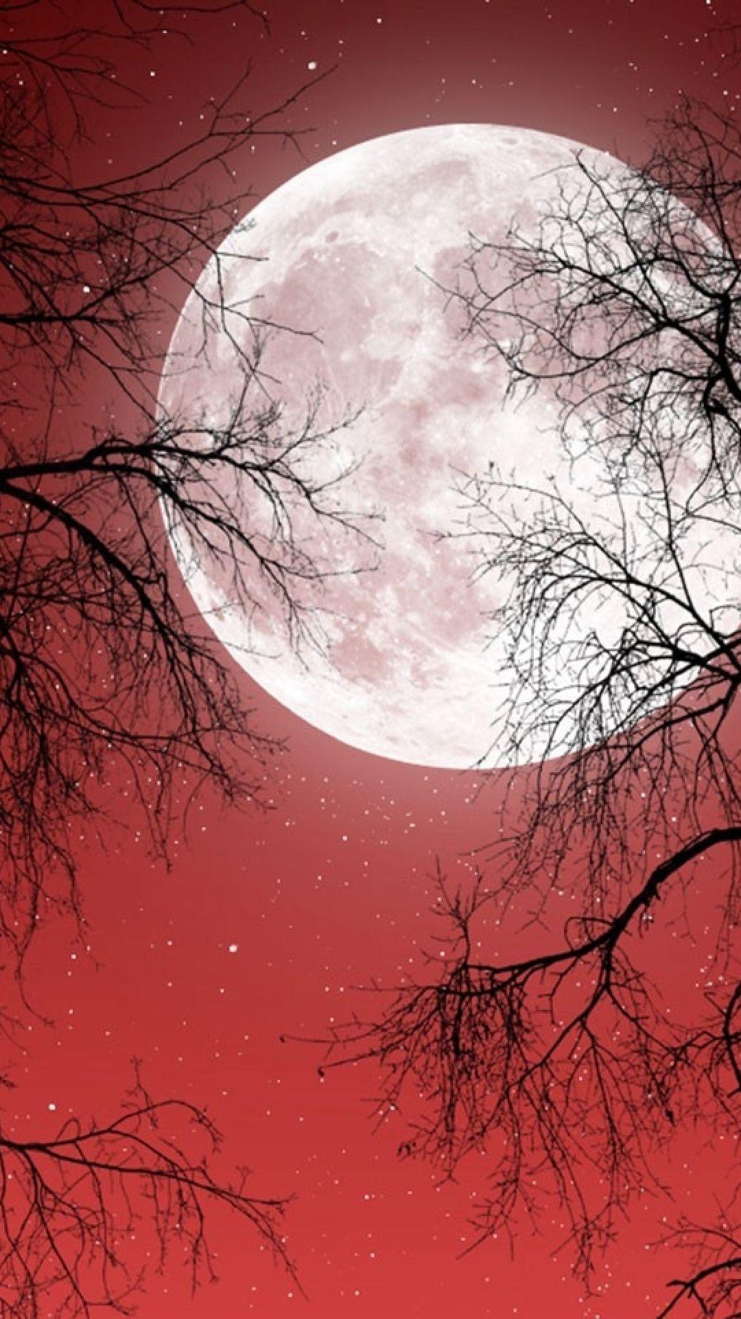 Dark Red Moon Wallpapers Top Free Dark Red Moon Backgrounds