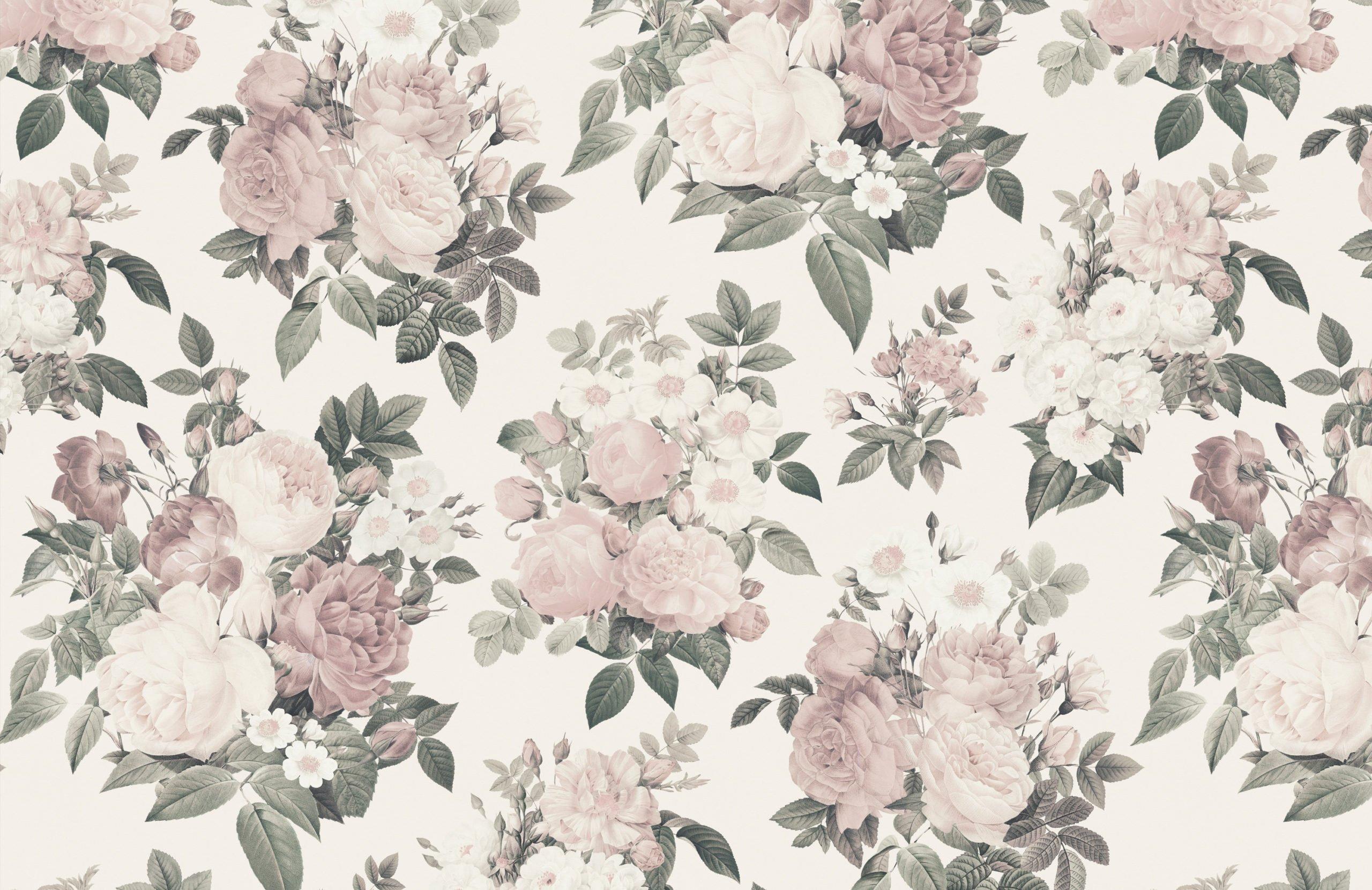 Antique Rose Wallpapers Top Free Antique Rose Backgrounds