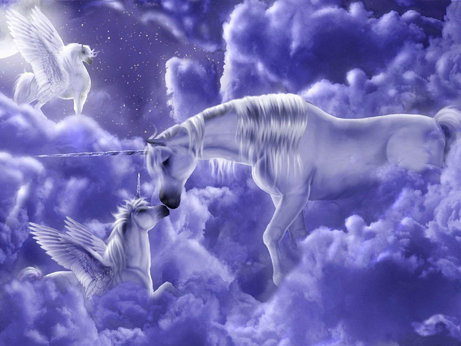 Purple Unicorn Wallpapers Top Free Purple Unicorn Backgrounds