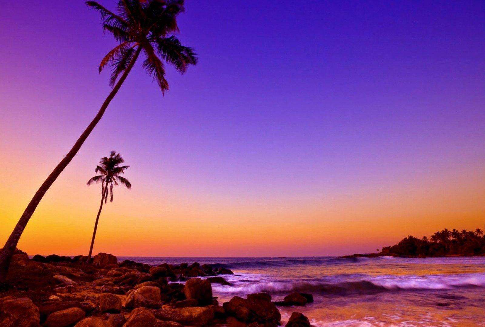 Pink Tropical Beach Wallpapers Top Free Pink Tropical Beach
