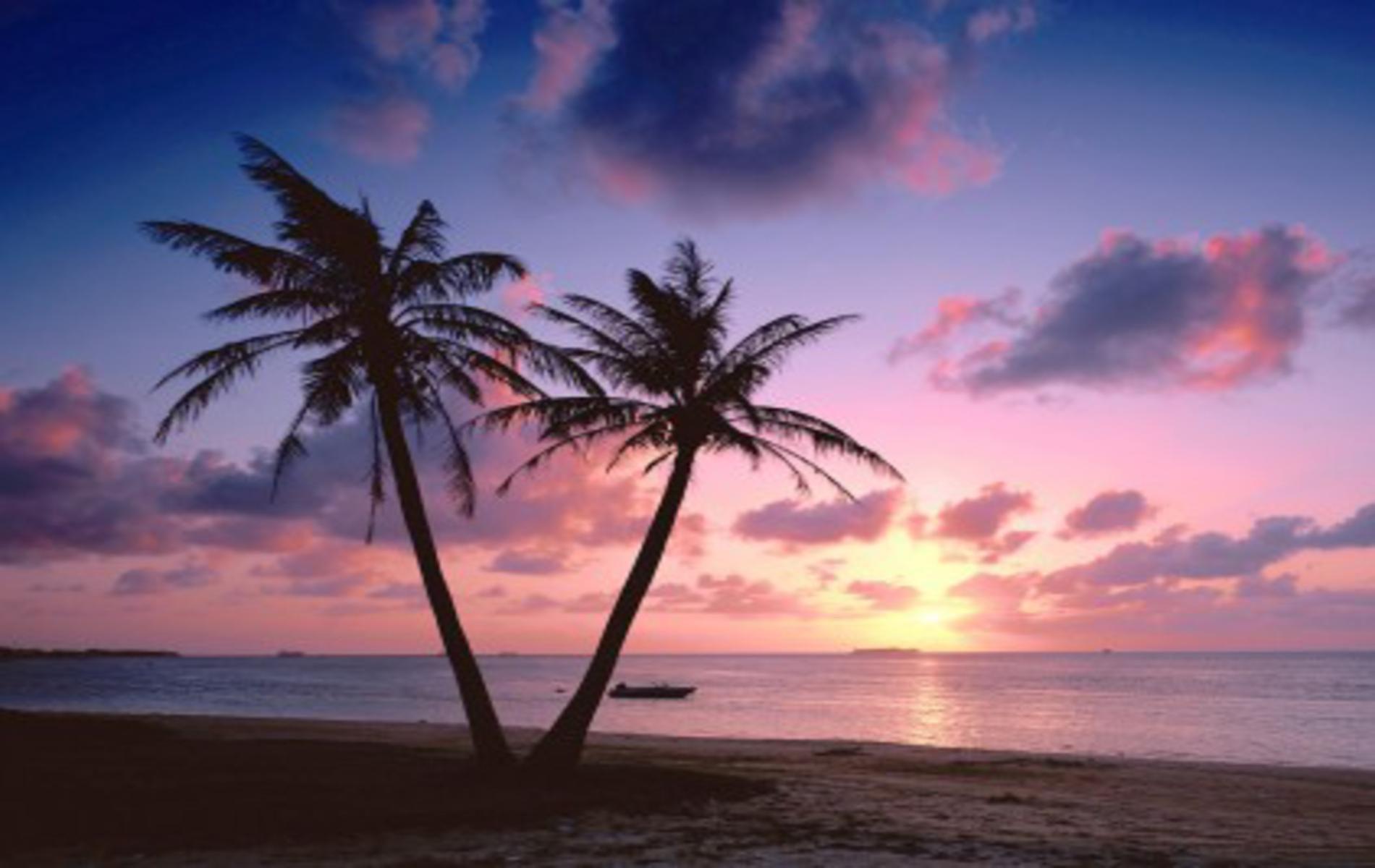 Pink Tropical Beach Wallpapers Top Free Pink Tropical Beach