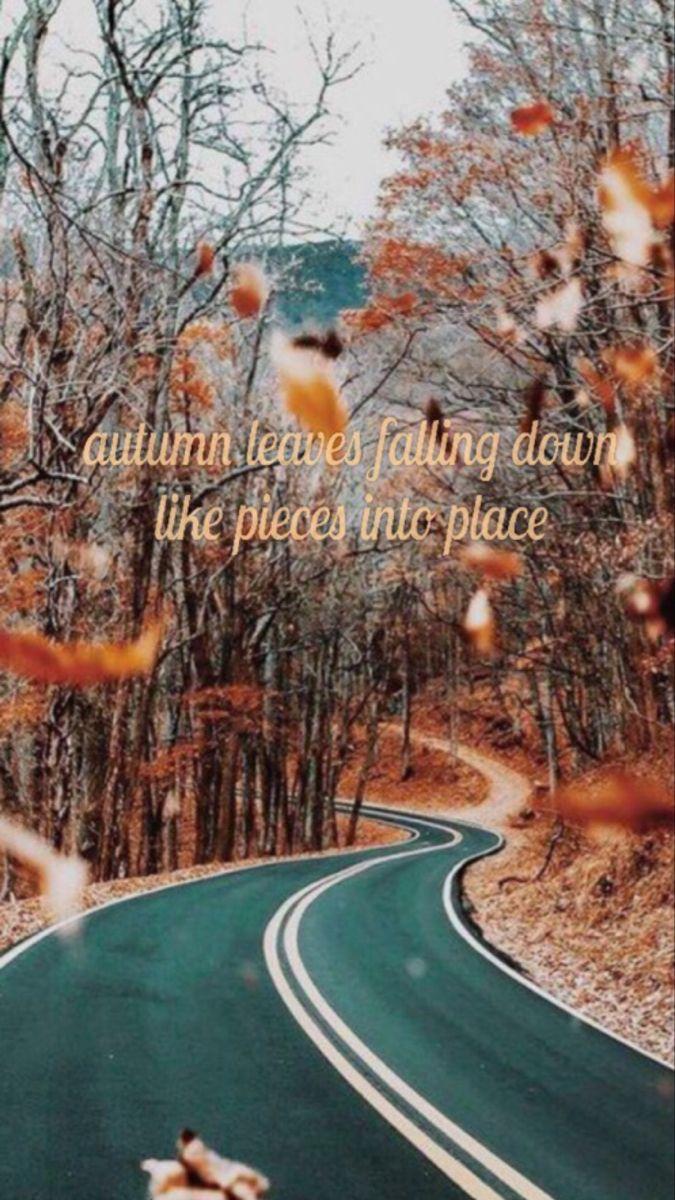 Taylor Swift All Too Well Wallpapers Top Free Taylor Swift All Too