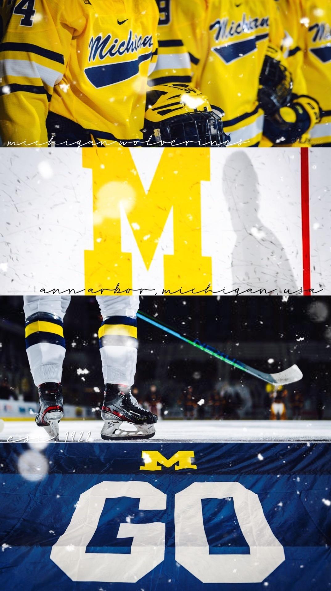Michigan Hockey Wallpapers Top Free Michigan Hockey Backgrounds WallpaperAccess