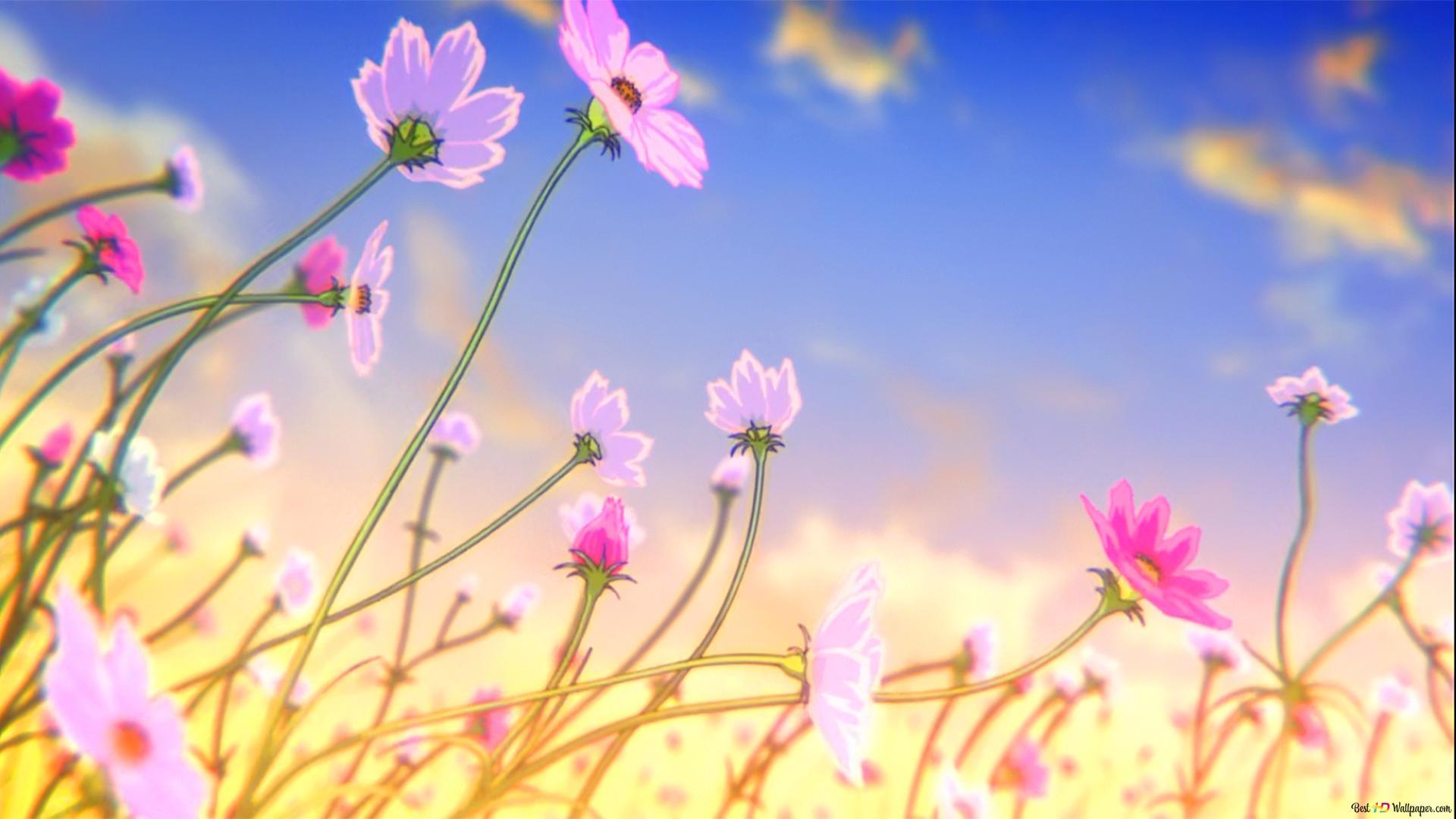 Anime Flower Field Wallpapers Top Free Anime Flower Field Backgrounds