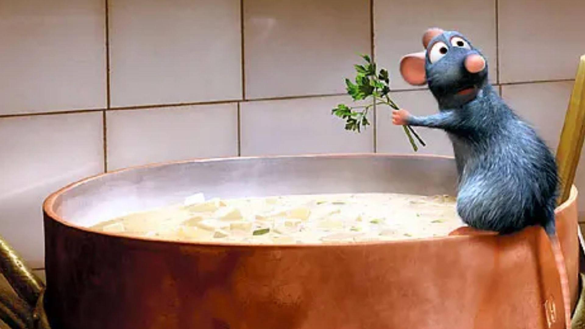 Ratatouille Cooking Wallpapers Top Free Ratatouille Cooking