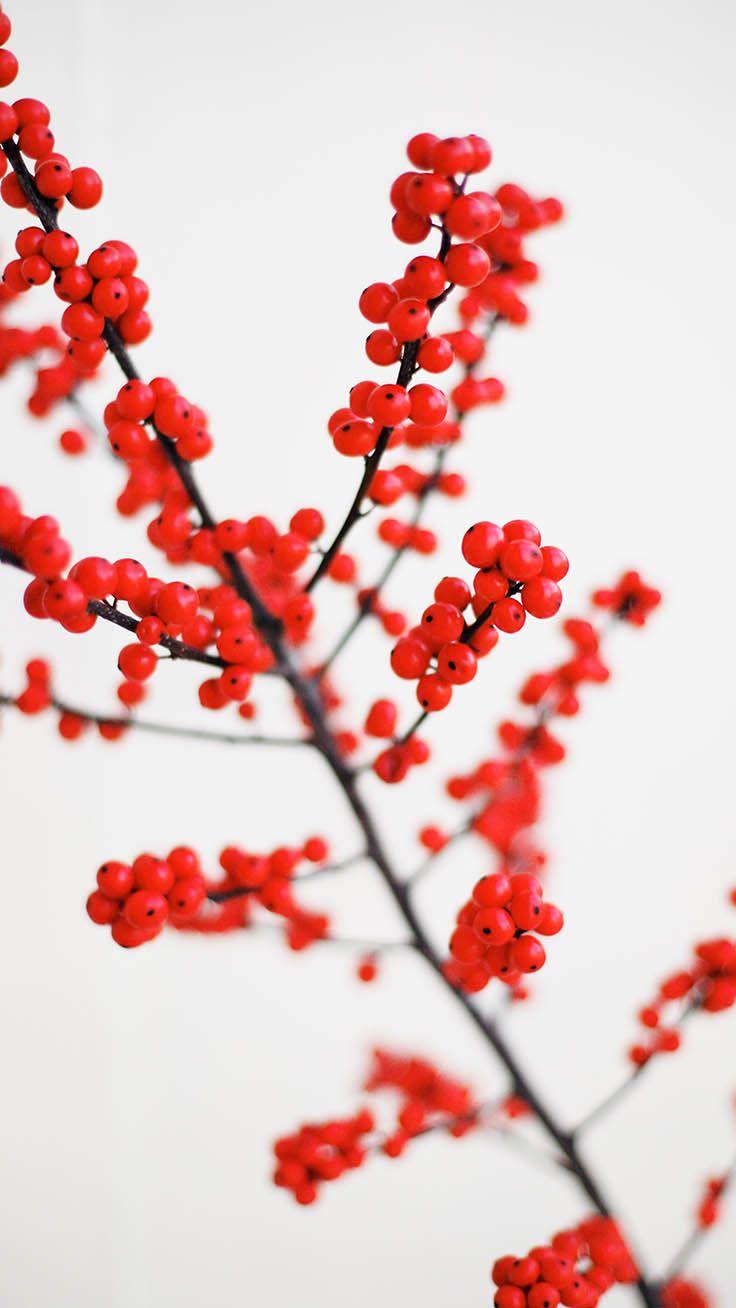 White and Red Minimalist Wallpapers Top Free White and Red Minimalist