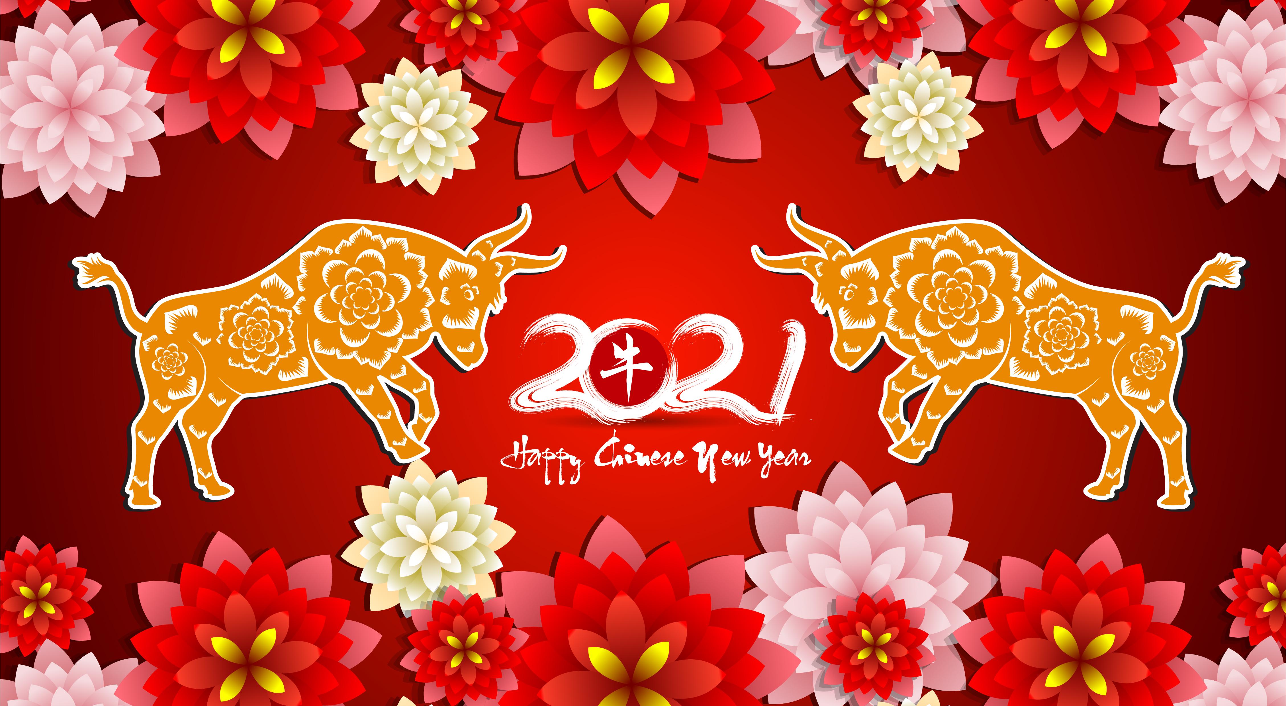 Chinese New Year Flower Wallpapers Top Free Chinese New Year Flower Backgrounds WallpaperAccess