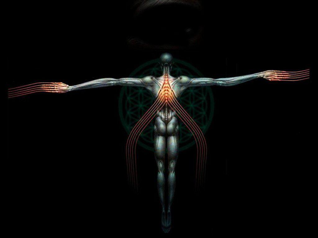 Tool Band Wallpapers Top Free Tool Band Backgrounds WallpaperAccess